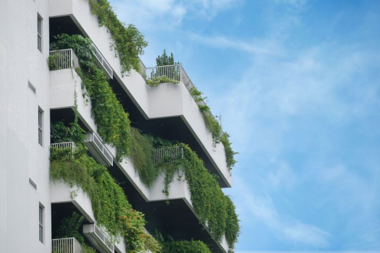 bâtiment vert